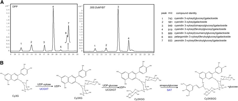 Figure 6.