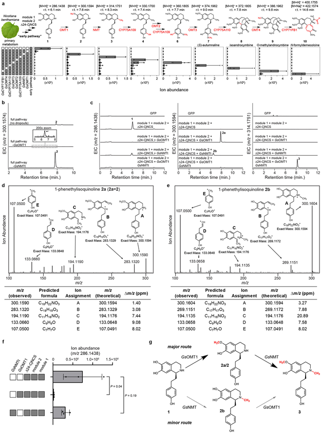 Extended Data Figure 12.