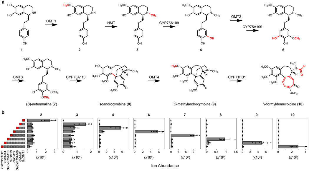 Figure 4.