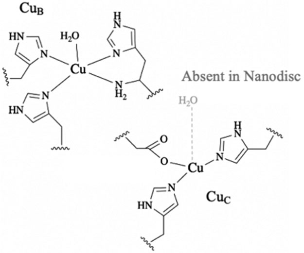 Figure 9.