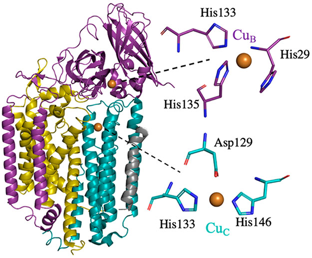 Figure 1.