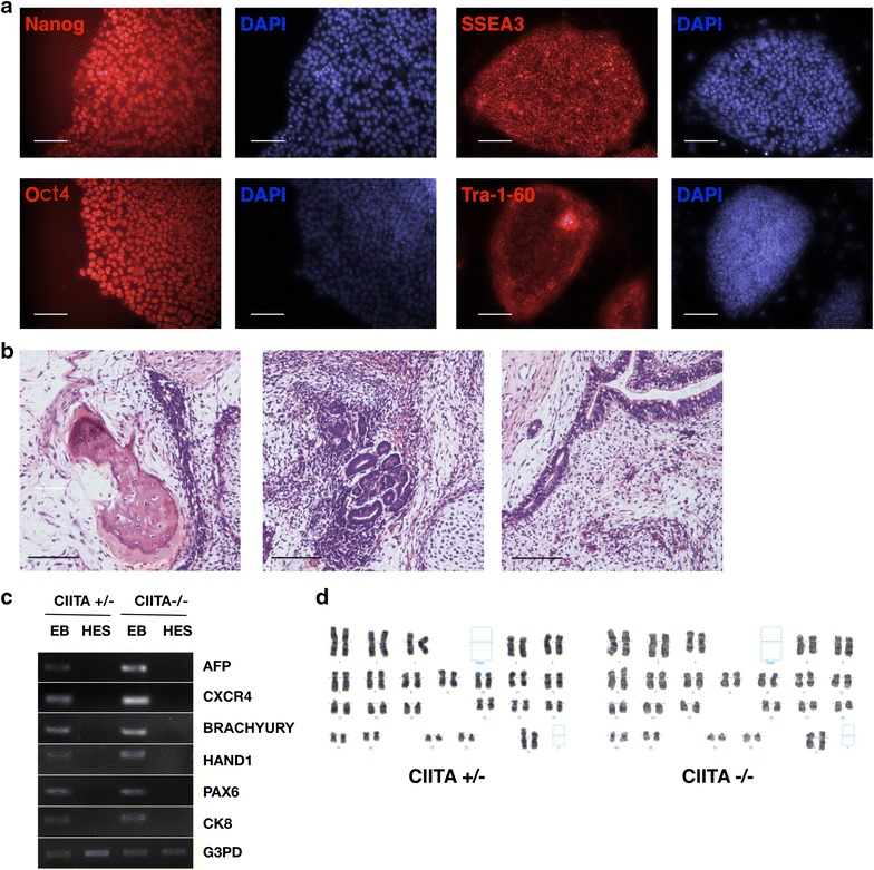 Fig. 2