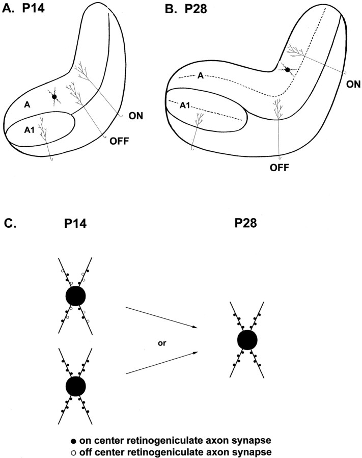 Fig. 9.