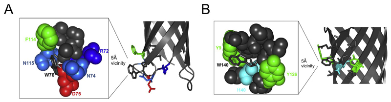 Fig. 5