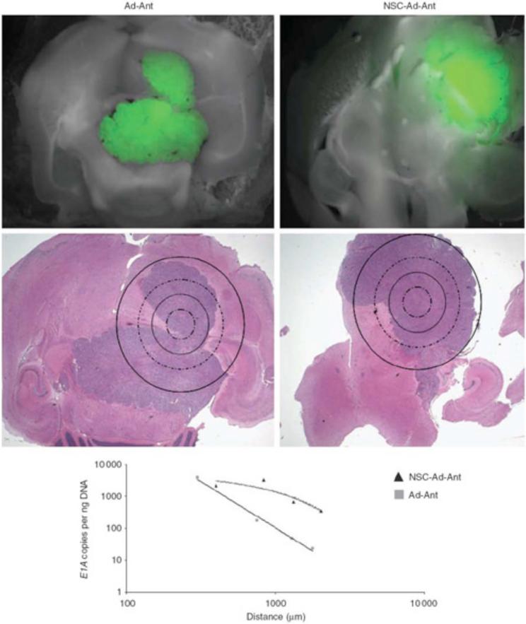 Fig. (2)