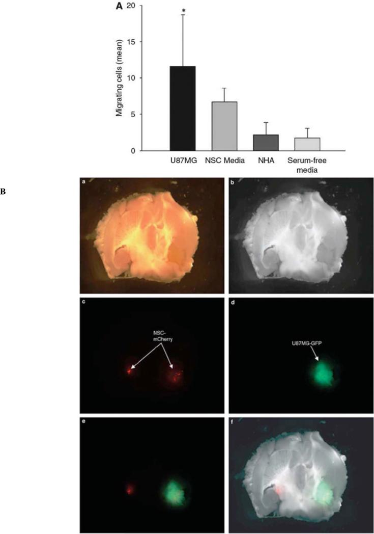 Fig. (1)