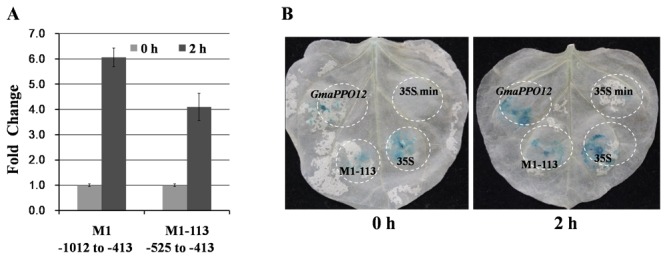 Figure 7