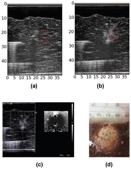 Fig. 9