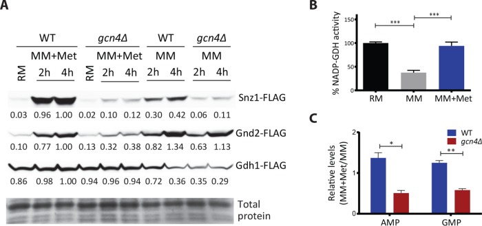 FIGURE 6: