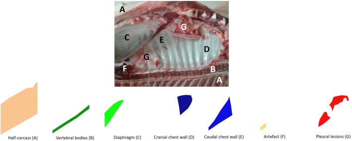 Figure 4