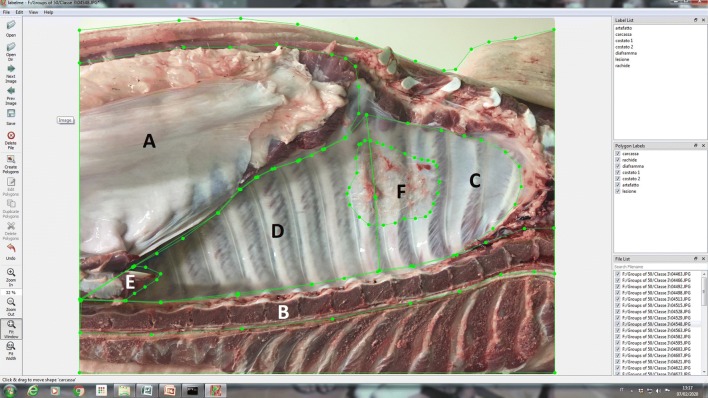 Figure 2