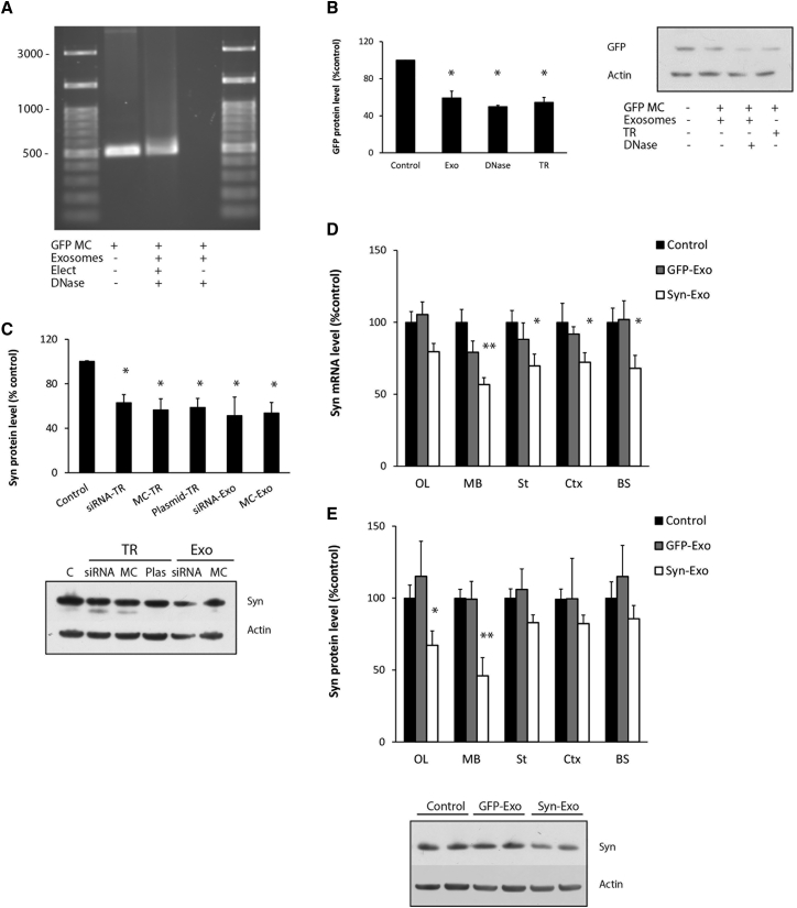 Figure 1