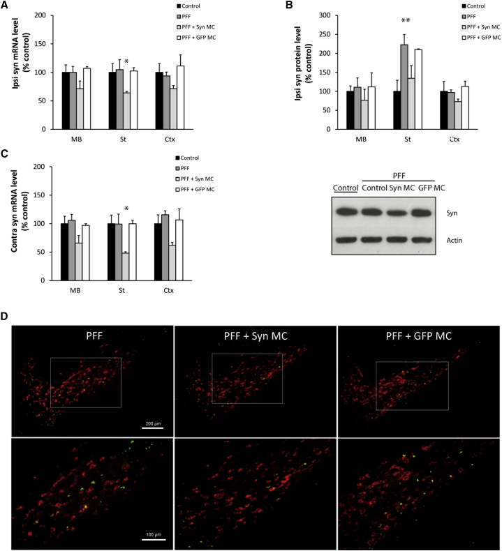 Figure 2