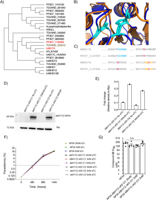 Figure 4: