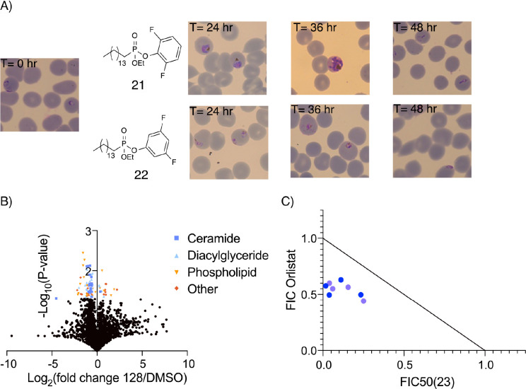 Figure 5: