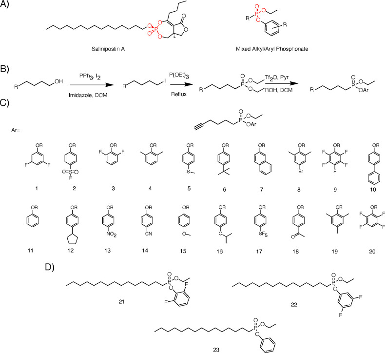 Figure 1: