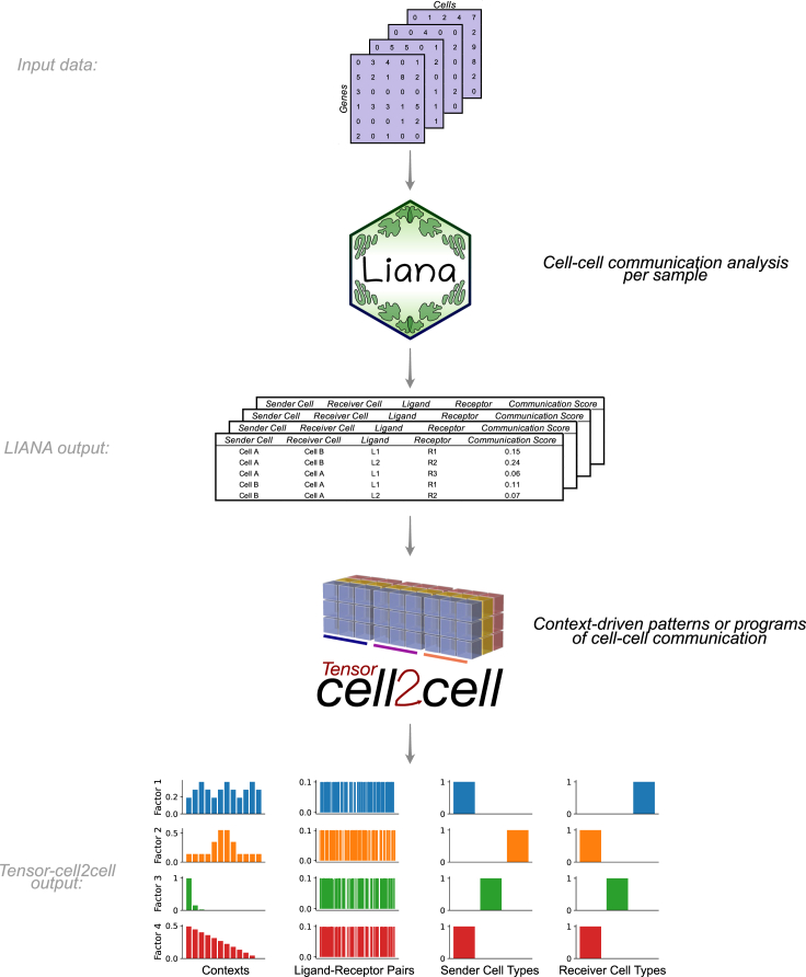 Figure 1