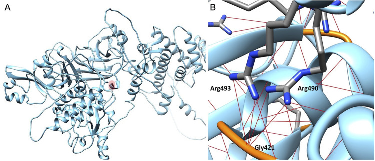 FIGURE 3