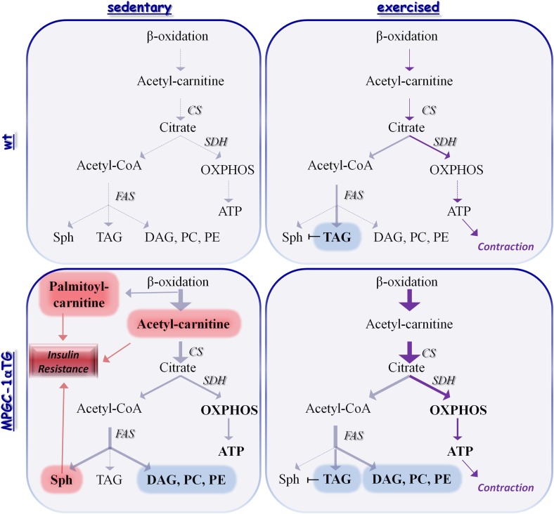 FIG. 7.