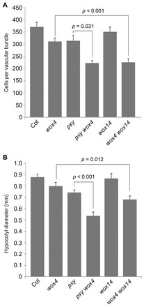 Fig. 6.