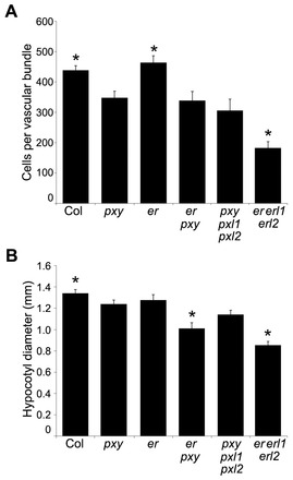 Fig. 8.