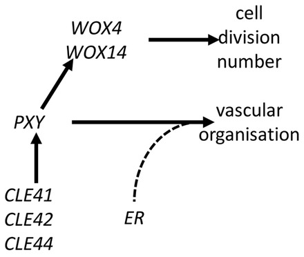 Fig. 11.