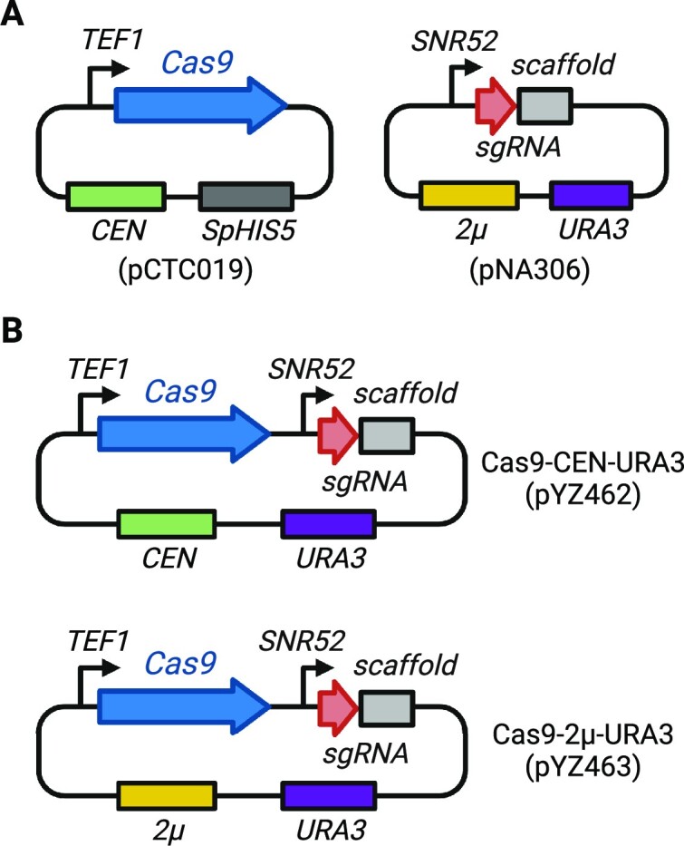 Figure 1.