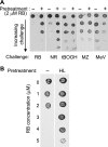 FIG. 4.