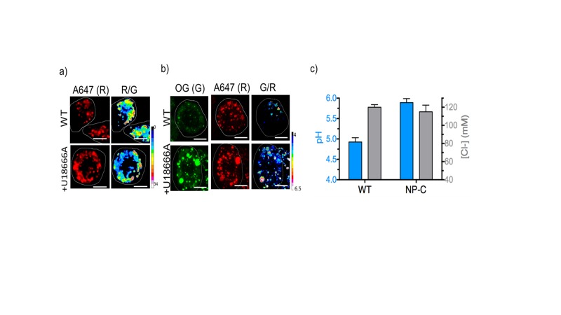 Figure 4—figure supplement 5.