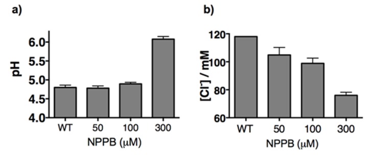 Figure 5—figure supplement 2.