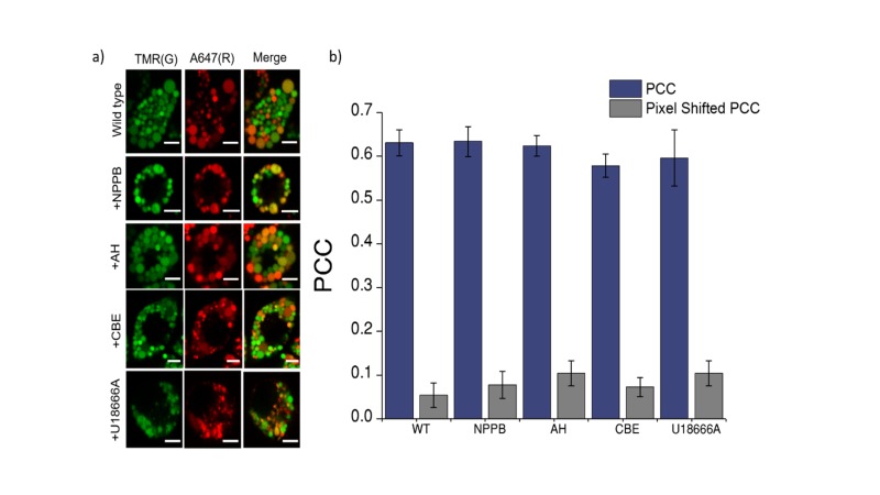 Figure 4—figure supplement 4.