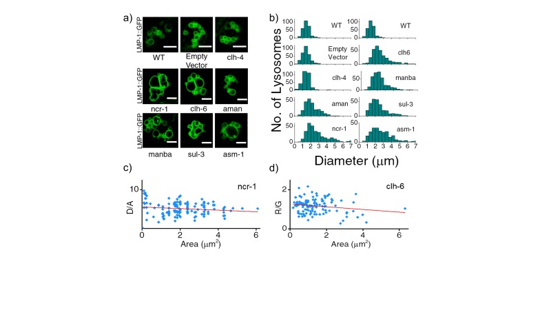 Figure 3—figure supplement 1.