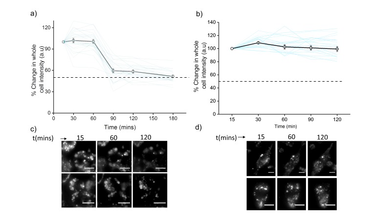 Figure 4—figure supplement 2.