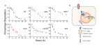 Figure 2—figure supplement 2.