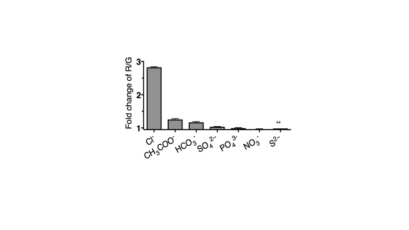 Figure 1—figure supplement 3.