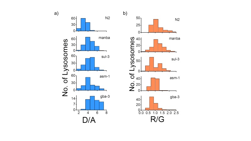 Figure 3—figure supplement 3.