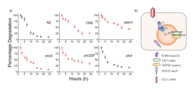 Figure 2—figure supplement 2.