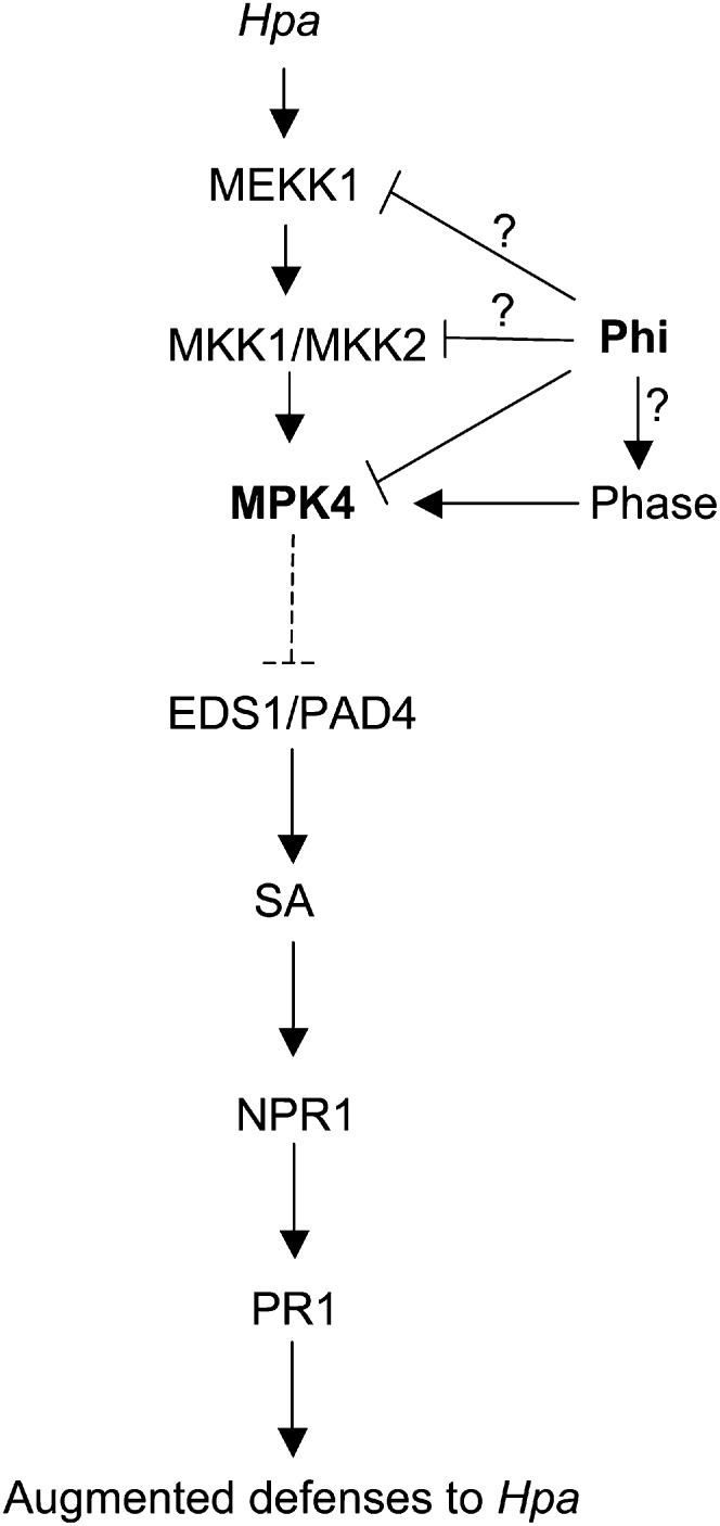 Figure 9.