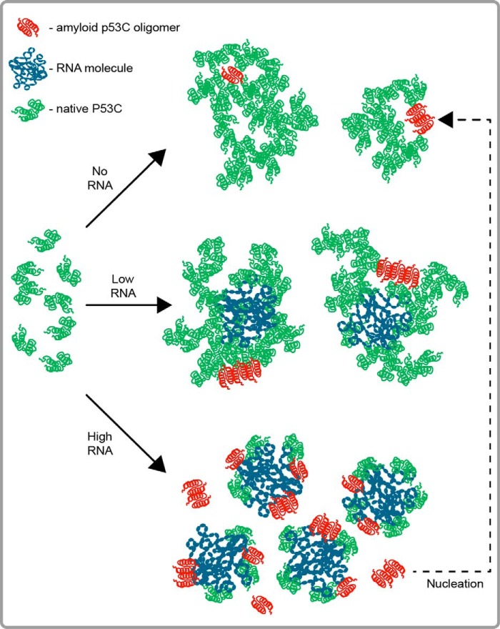 Figure 9.