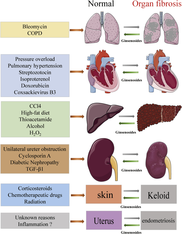 Fig. 3