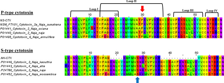 FIGURE 3