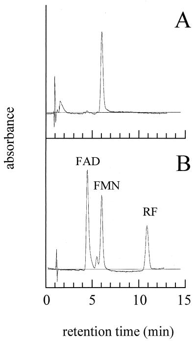 FIG. 5