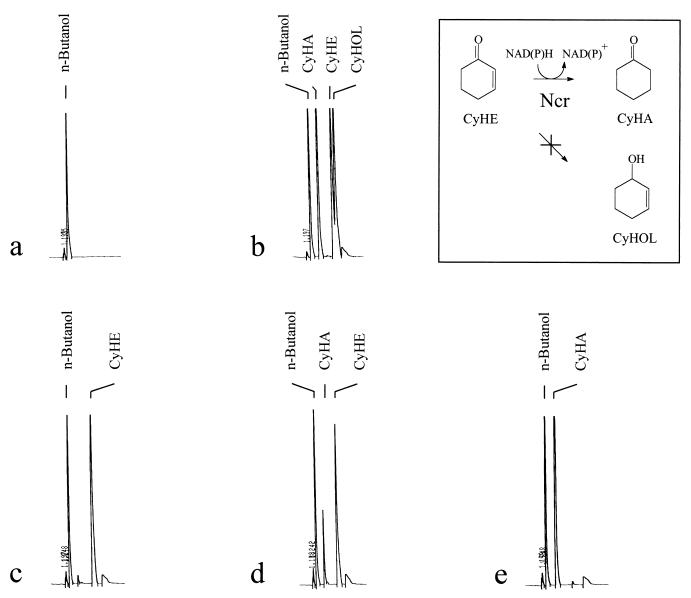 FIG. 7