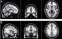 <b>FIG. 2.</b>