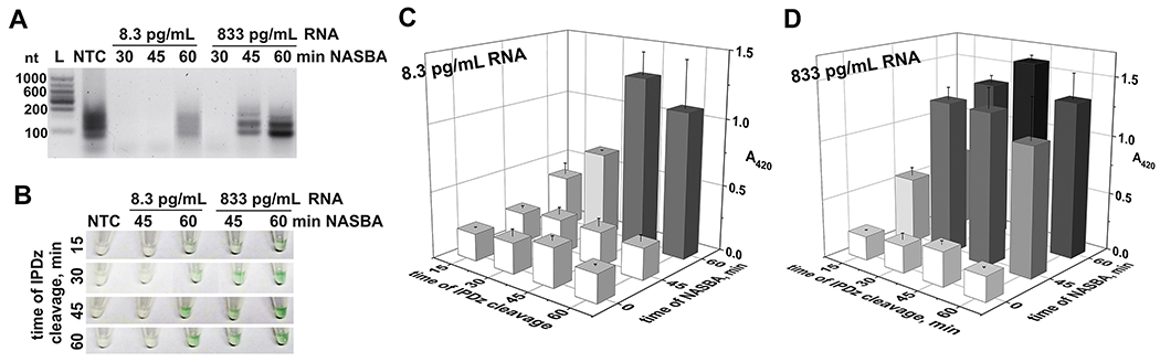 Figure 2.