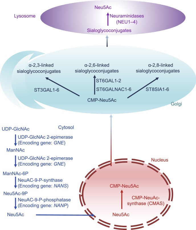 Figure 2