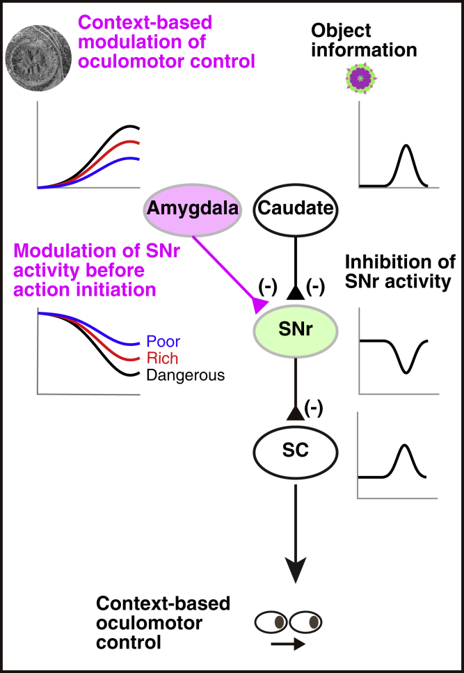 Figure 7