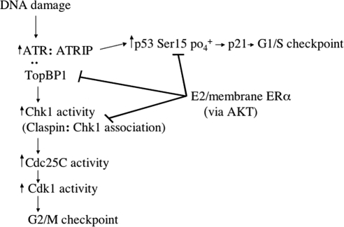 Figure 9.