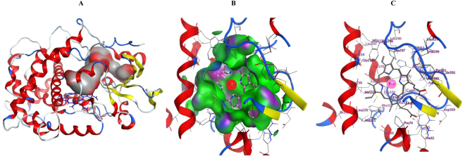 Figure 5