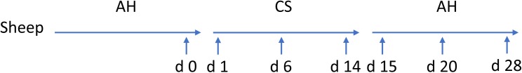 FIGURE 1